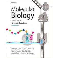  Molecular Biology: Principles of Genome Function