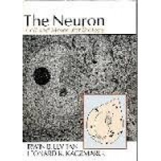 THE NEURON CELL & MOLECULAR BIOLOGY