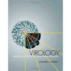  Virology: Molecular Biology and Pathogenesis
