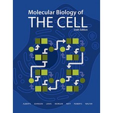 MOLECULAR BIOLOGY OF THE CELL