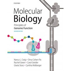  Molecular Biology: Principles of Genome Function