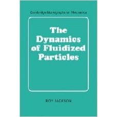 THE DYNAMICS OF FLUIDIZED PARTICLES