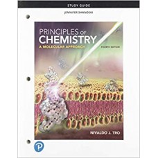 PRINCIPLES OF CHEMISTRY A MOLECULAR APPROACH