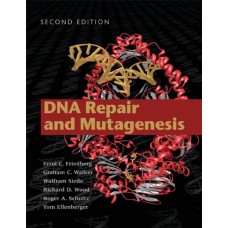 DNA REPAIR & MUTAGENESIS