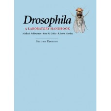 DROSOPHILA