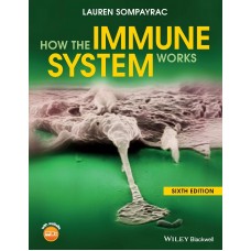 HOW THE IMMUNE SYSTEM WORKS