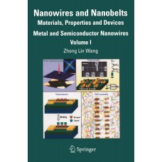 NANOWIRES & NANOBELTS VOLUME 1 & 2