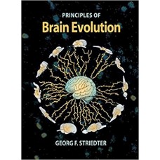 PRINCIPLES OF BRAIN EVOLUTION
