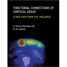 FUNCTIONAL CONNECTIONS OF CORTICAL AREAS