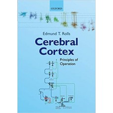 CEREBRAL CORTEX