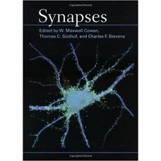 SYNAPSES