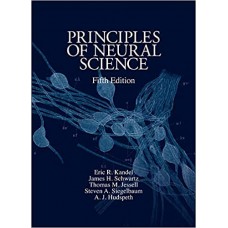PRINCIPLES OF NEURAL SCIENCE