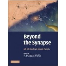 BEYOND THE SYNAPSE