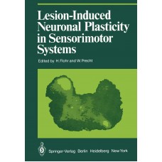 LESION - INDUCED NEURONAL PLASTICITY IN SENSORIMOTOR SYSTEMS