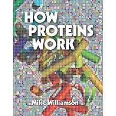 HOW PROTEIN WORKS