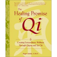 THE HEALING PROMISE OF QI