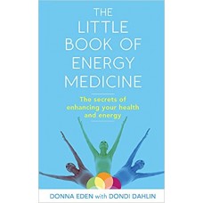 THE LITTLE BOOK OF ENERGY MEDICINE