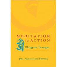 MEDITATION IN ACTION